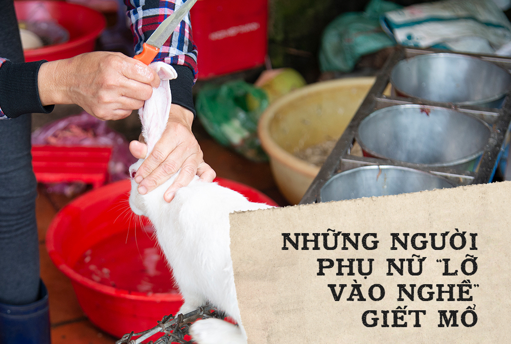 Chuyện lần đầu kể của người phụ nữ... lỡ làm nghề giết mổ động vật và những ánh mắt vô hồn đến ám ảnh tại khu xóm nhỏ chuyên thịt chó ở Sài Gòn-3