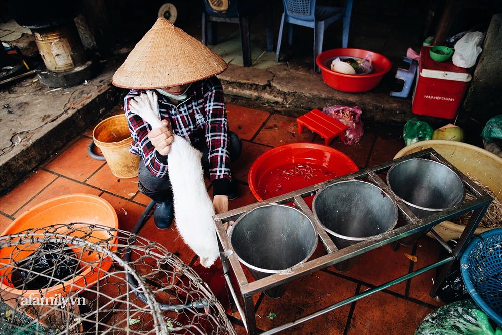 Chuyện lần đầu kể của người phụ nữ... lỡ làm nghề giết mổ động vật và những ánh mắt vô hồn đến ám ảnh tại khu xóm nhỏ chuyên thịt chó ở Sài Gòn-4