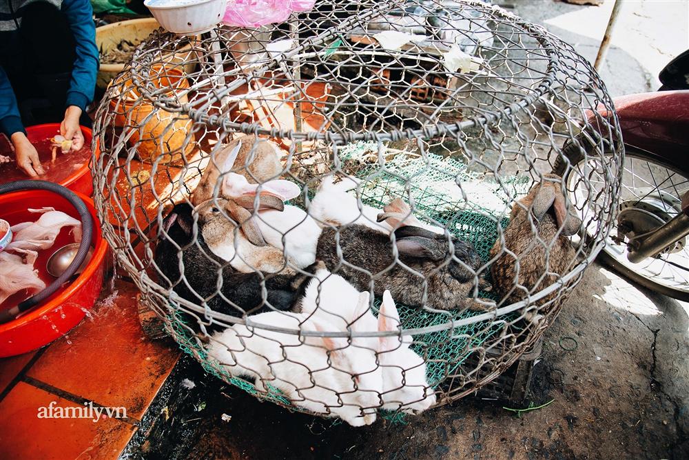 Chuyện lần đầu kể của người phụ nữ... lỡ làm nghề giết mổ động vật và những ánh mắt vô hồn đến ám ảnh tại khu xóm nhỏ chuyên thịt chó ở Sài Gòn-7