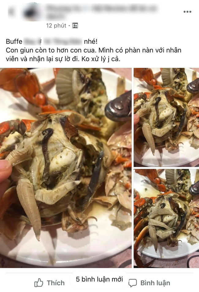 Bỏ hơn 1 triệu ăn buffet hải sản ở nhà hàng nổi tiếng Hà Nội, thực khách bất ngờ phát hiện cua có giun nhưng câu trả lời từ nhà hàng lại là thứ kỳ lạ khác?!?-2