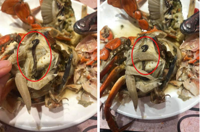 Bỏ hơn 1 triệu ăn buffet hải sản ở nhà hàng nổi tiếng Hà Nội, thực khách bất ngờ phát hiện cua có giun nhưng câu trả lời từ nhà hàng lại là thứ kỳ lạ khác?!?-3