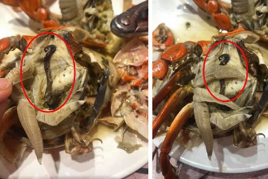Bỏ hơn 1 triệu ăn buffet hải sản ở nhà hàng nổi tiếng Hà Nội, thực khách bất ngờ phát hiện 