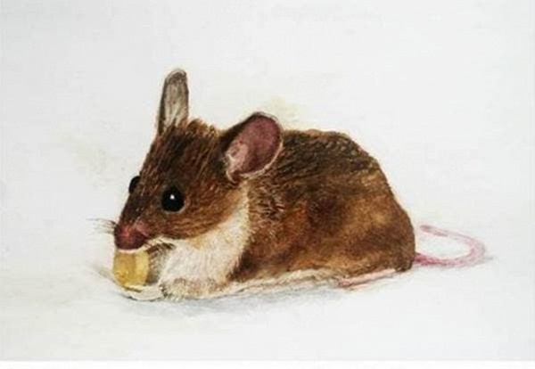 Con giáp nào sinh con năm 2021 tốt nhất, gia đạo thịnh vượng, tài lộc tăng tiến-1