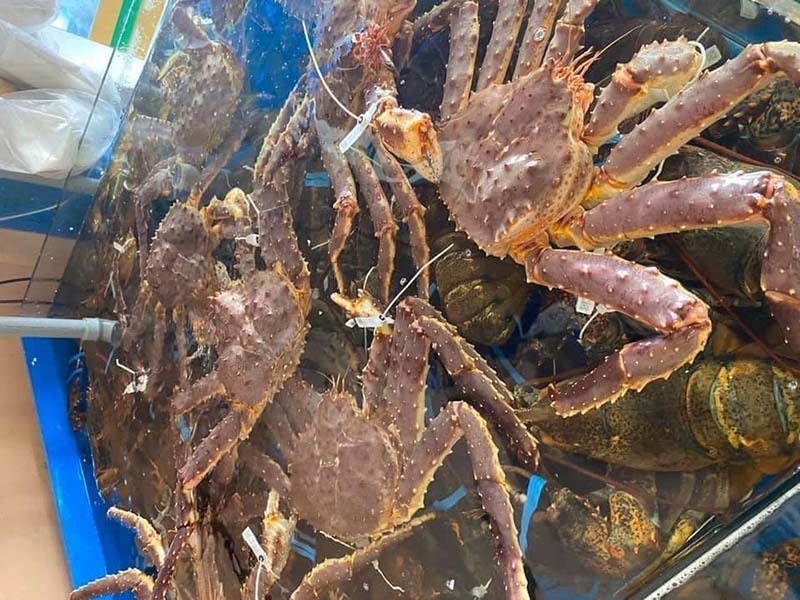 Cua Hoàng đế Alaska siêu rẻ, dân Hà Nội ồ ạt mua về ăn-2