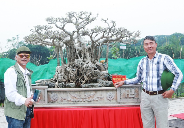 Chiêm ngưỡng sanh cổ Kỳ duyên mộc thạch có giá 5 tỷ đồng-12