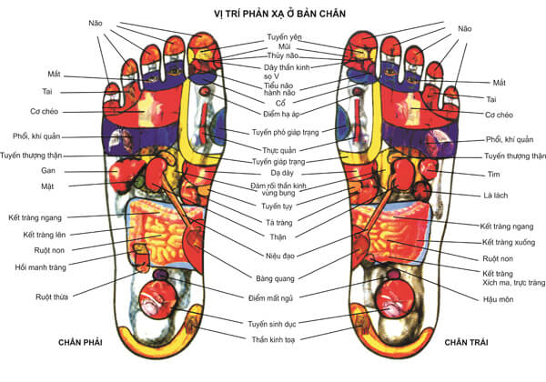 Muốn biết nội tạng có nhiễm bệnh không chỉ cần nhìn xuống bàn chân, có 3 tín hiệu thì cần phải đi khám khẩn cấp-1