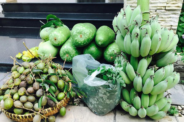 Nhà vườn rộng 2500m2 ngập tràn cây trái của Việt Trinh-7