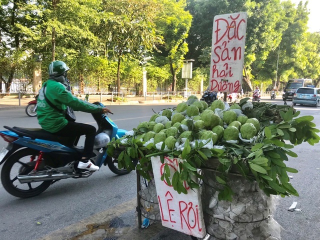 Lạ lùng ổi khổng lồ nặng 1,5kg gắn mác Lệ Rơi hút khách Hà Nội-1