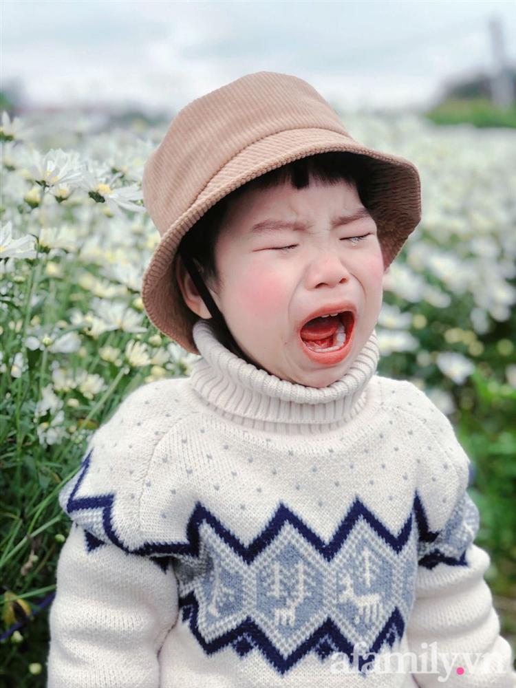 Chẳng thích cúc họa mi mà phải đi chụp ảnh, bé trai khóc mếu chán chê rồi biểu cảm đúng kiểu: Con tạo dáng đây, vừa lòng mẹ chưa?-1
