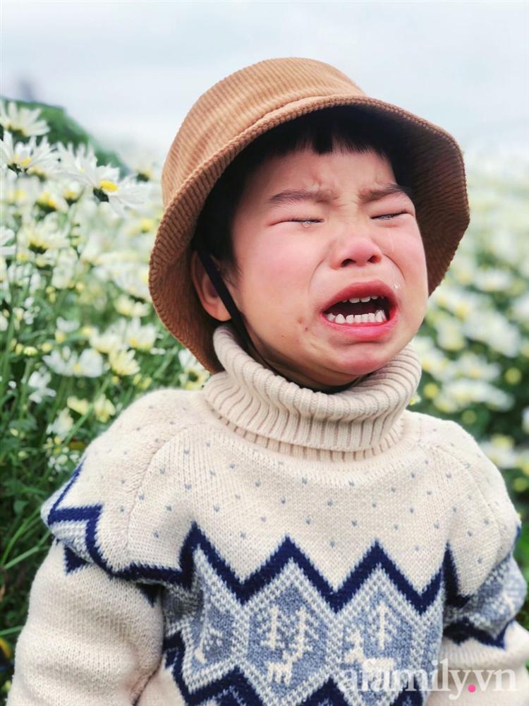 Chẳng thích cúc họa mi mà phải đi chụp ảnh, bé trai khóc mếu chán chê rồi biểu cảm đúng kiểu: Con tạo dáng đây, vừa lòng mẹ chưa?-2