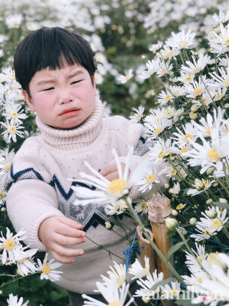 Chẳng thích cúc họa mi mà phải đi chụp ảnh, bé trai khóc mếu chán chê rồi biểu cảm đúng kiểu: Con tạo dáng đây, vừa lòng mẹ chưa?-4