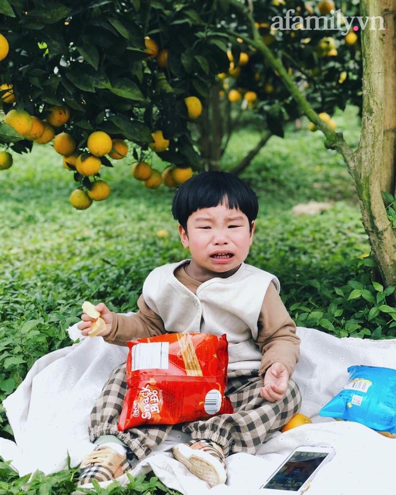 Chẳng thích cúc họa mi mà phải đi chụp ảnh, bé trai khóc mếu chán chê rồi biểu cảm đúng kiểu: Con tạo dáng đây, vừa lòng mẹ chưa?-5