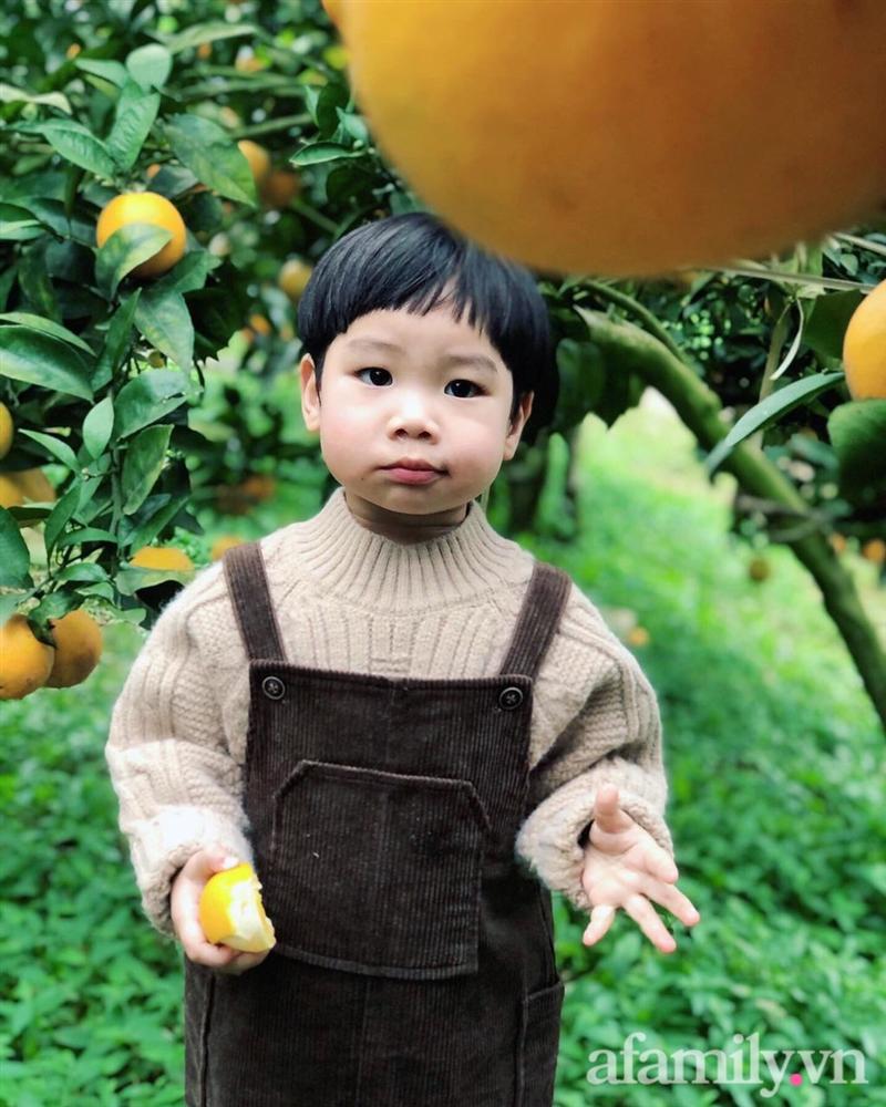 Chẳng thích cúc họa mi mà phải đi chụp ảnh, bé trai khóc mếu chán chê rồi biểu cảm đúng kiểu: Con tạo dáng đây, vừa lòng mẹ chưa?-8