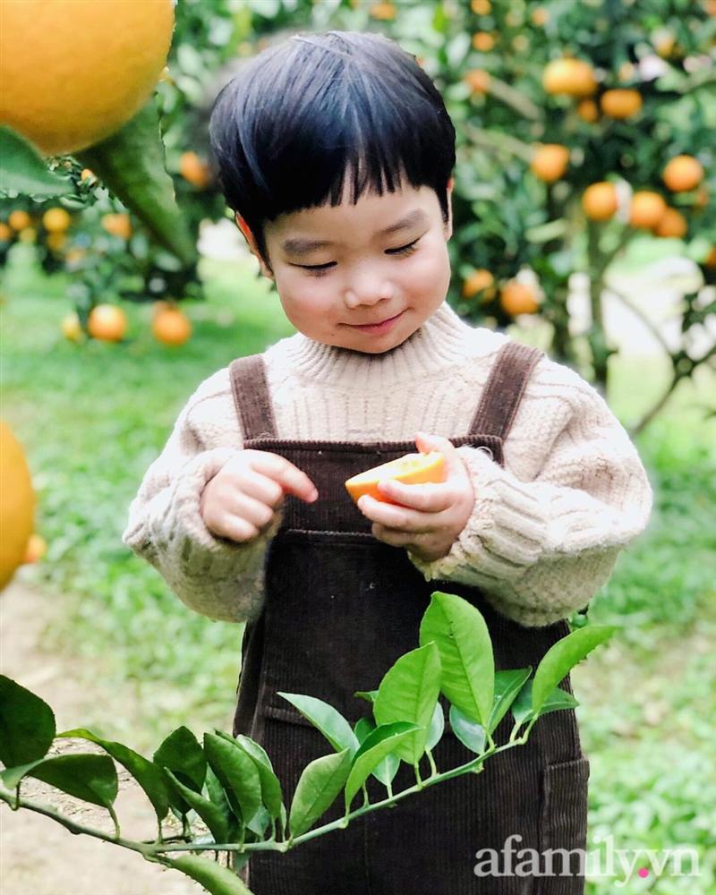 Chẳng thích cúc họa mi mà phải đi chụp ảnh, bé trai khóc mếu chán chê rồi biểu cảm đúng kiểu: Con tạo dáng đây, vừa lòng mẹ chưa?-9