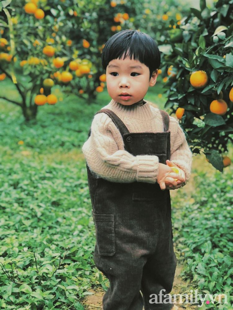 Chẳng thích cúc họa mi mà phải đi chụp ảnh, bé trai khóc mếu chán chê rồi biểu cảm đúng kiểu: Con tạo dáng đây, vừa lòng mẹ chưa?-10