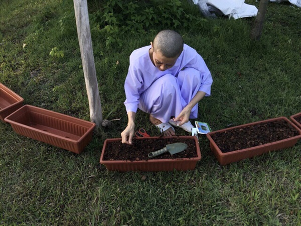 Trong khi Hoàng quý phi được phục vị, hình ảnh vợ cũ của Vua Thái Lan gầy gò hốc hác, đang trồng rau trong chùa được chia sẻ gây xôn xao MXH-5