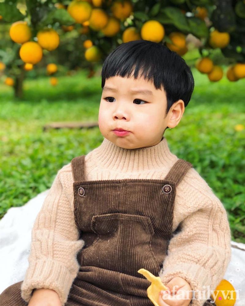 Chẳng thích cúc họa mi mà phải đi chụp ảnh, bé trai khóc mếu chán chê rồi biểu cảm đúng kiểu: Con tạo dáng đây, vừa lòng mẹ chưa?-12