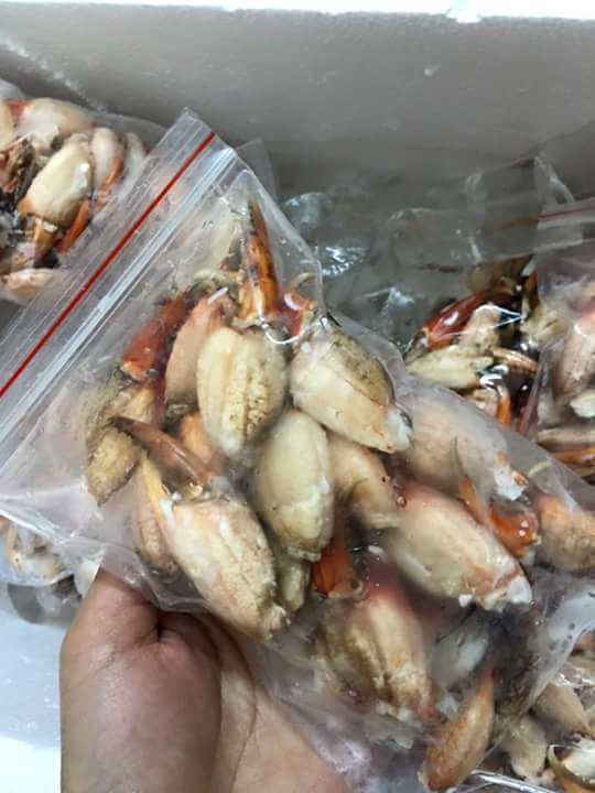 Chị em nội trợ rủ nhau mua chân, càng cua biển về cấp đông ăn dần, rẻ hẳn một nửa mà lại ngon-3