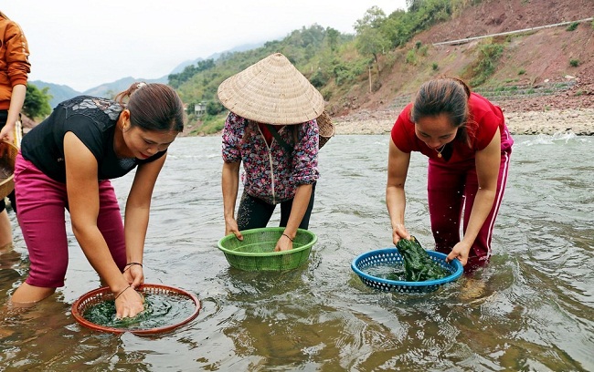 Đi vớt thứ mọc dại ở lòng suối về làm đặc sản mà hút khách không ngờ-2