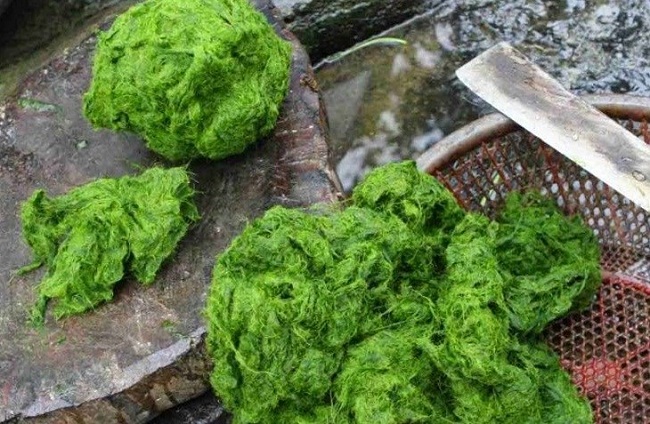 Đi vớt thứ mọc dại ở lòng suối về làm đặc sản mà hút khách không ngờ-4