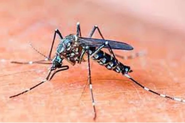 Bí quyết sơ chế ngao sạch boong kin kít: Chỉ với 2 thao tác đơn giản, ngao sẽ nhả sạch cát để chị em muốn nấu kiểu gì cũng được!-2