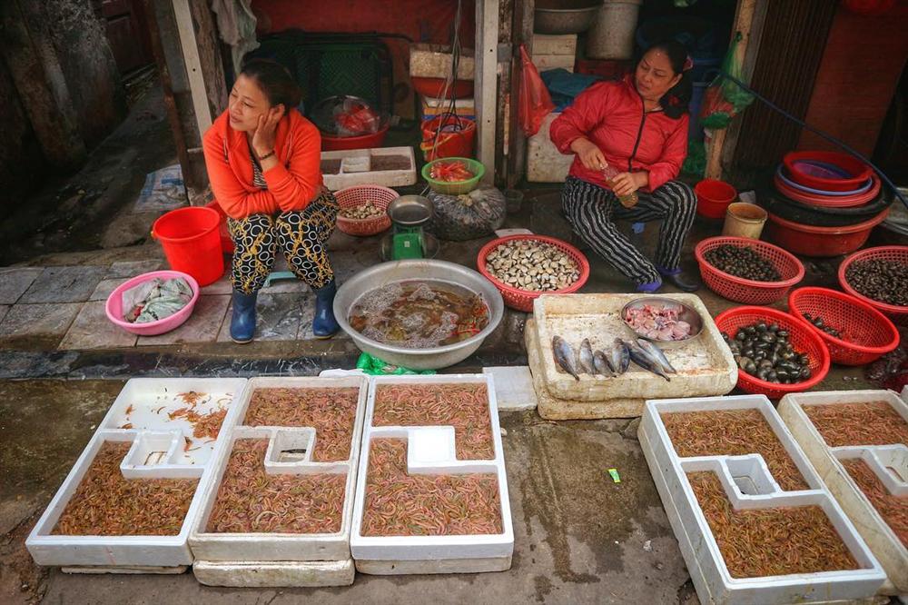 Mùa rươi đến, mới đầu vụ mà dân buôn đã bán tấp nập với giá nửa triệu đồng/kg-1