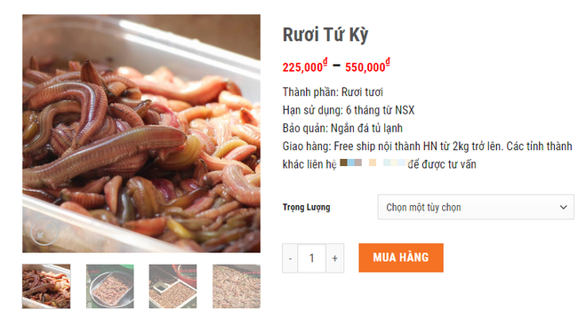 Mùa rươi đến, mới đầu vụ mà dân buôn đã bán tấp nập với giá nửa triệu đồng/kg-3