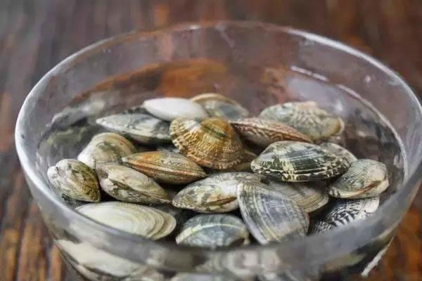 Bí quyết sơ chế ngao sạch boong kin kít: Chỉ với 2 thao tác đơn giản, ngao sẽ nhả sạch cát để chị em muốn nấu kiểu gì cũng được!-1