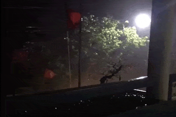 Biển động sóng cao phủ đầu, người dân Đà Nẵng vẫn liều mình tắm biển sau bão-12