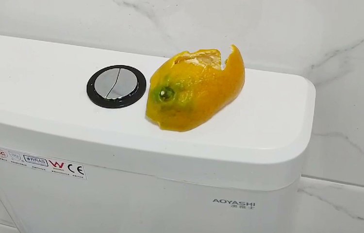 Đừng vứt vỏ cam tươi mà hãy trộn chung với muối ăn, điều này sẽ giúp bạn tiết kiệm rất nhiều tiền mỗi năm-4