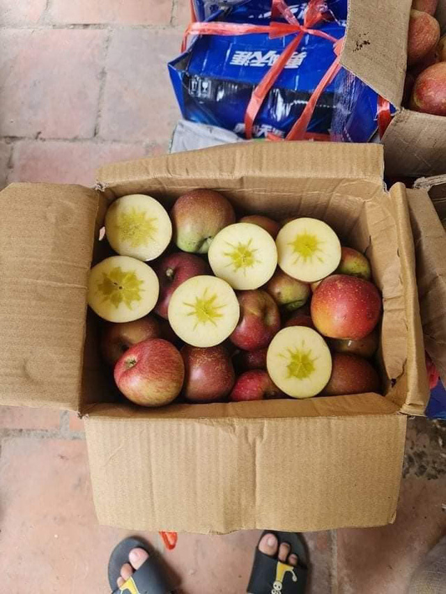 Dân buôn vén màn nguồn gốc táo đá 10.000 đồng/kg được quảng cáo là đặc sản Hà Giang-1