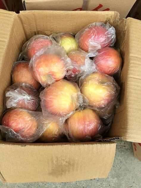 Dân buôn vén màn nguồn gốc táo đá 10.000 đồng/kg được quảng cáo là đặc sản Hà Giang-3