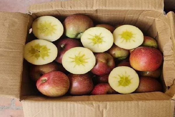 Dân buôn tiết lộ chiêu phù phép hạt dẻ Trung Quốc, người mua sập bẫy mà không biết-6