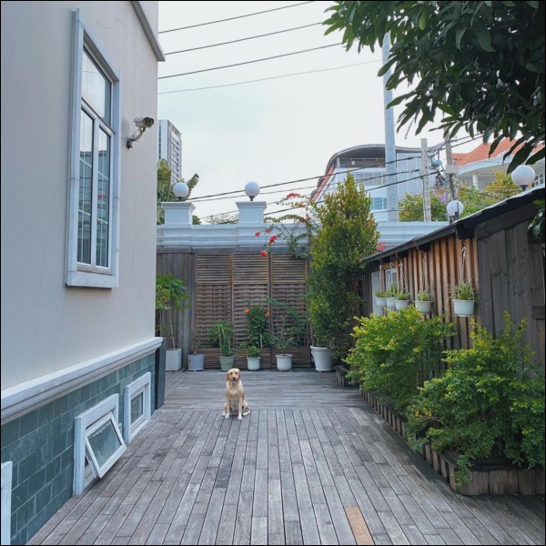 Hé lộ thêm không gian sống thượng lưu cực sang chảnh mà bình yên của Tăng Thanh Hà-9