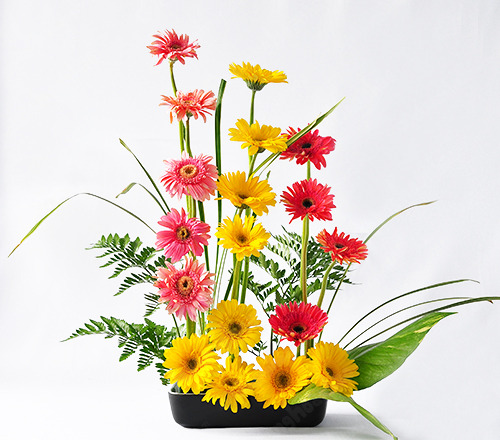 Mách bạn cách chọn và cắm hoa chào mừng ngày Nhà giáo Việt Nam 20/11 thật trang trọng, ý nghĩa-19