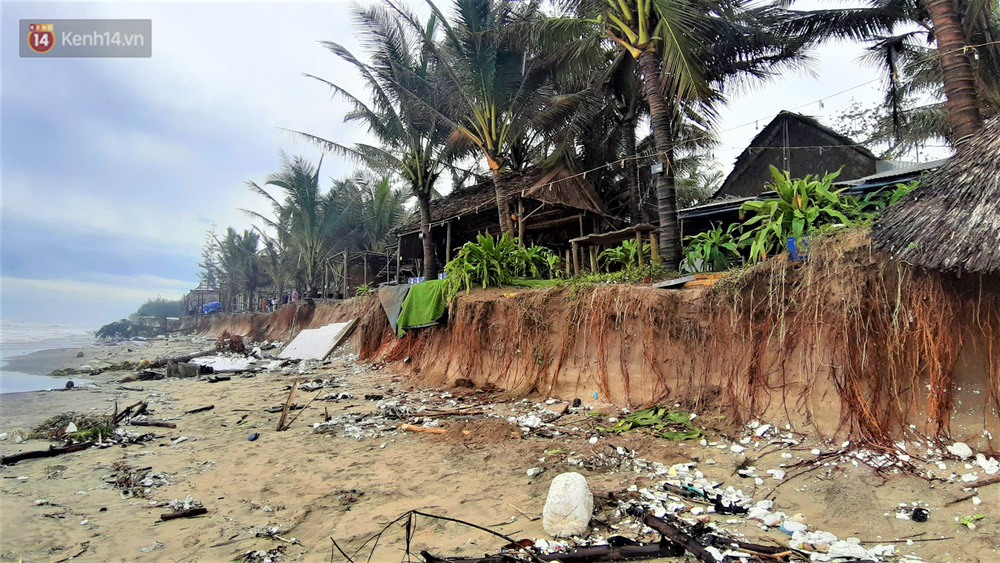 Người dân Hội An thẫn thờ nhìn bờ biển Cửa Đại, An Bàng tan hoang, hàng loạt căn nhà bị sóng biển nuốt chửng-13