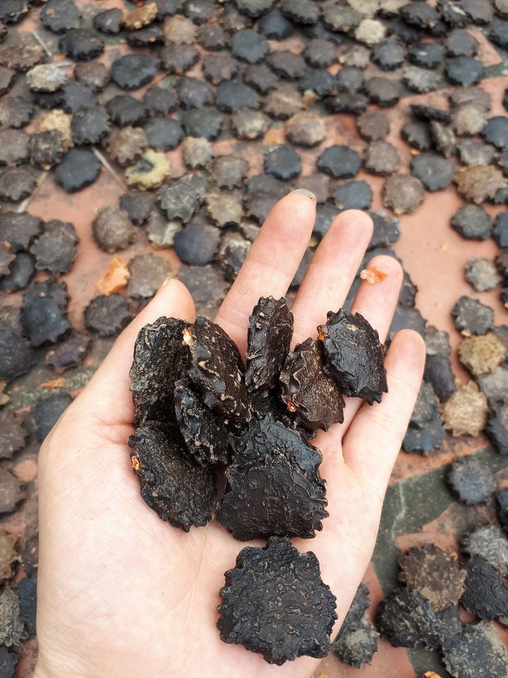 Loại hạt bỏ đi được coi là phế phẩm lại đang được nhiều người lùng mua với giá 130 ngàn/kg-3