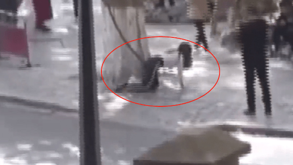 Hotgirl mạng quỳ gối, bò quanh gốc cây rồi giơ bảng tìm chồng thu hút sự chú ý, lý do đằng sau hành động này khiến ai cũng phẫn nộ-3