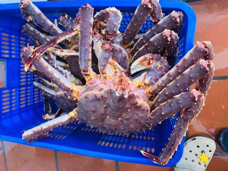 Hoàng đế hấp hối, bà nội trợ chung tiền mua cua siêu rẻ-1