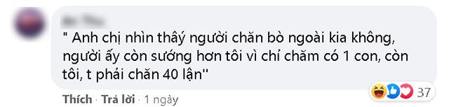 Làm thầy giáo nhưng tôi lại hiểu sâu sắc nỗi cơ cực của người chăn bò - Những câu nói hài hước của thầy cô giáo khiến ai đọc cũng bồi hồi-17
