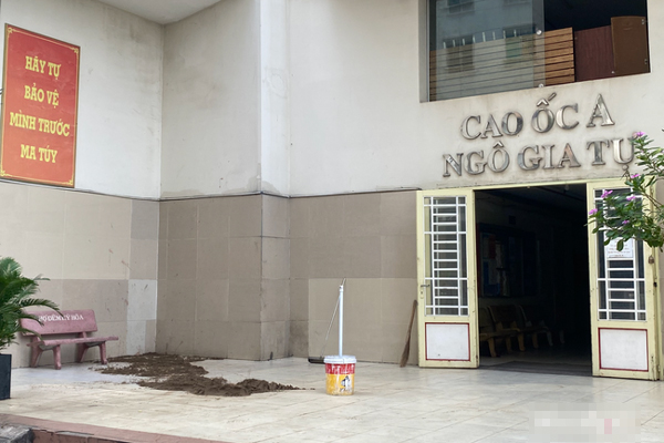 Vụ người phụ nữ tử vong, thi thể không nguyên vẹn: Camera ghi lại khoảnh khắc nạn nhân bắc ghế leo lên ban công rồi nhảy lầu tự tử-3