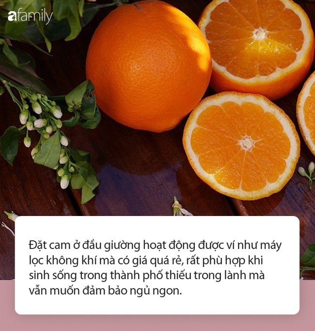 Đặt cam ở đầu giường mỗi tối trước khi đi ngủ: Chuyên gia nói tốt chẳng kém máy lọc không khí đắt tiền-2