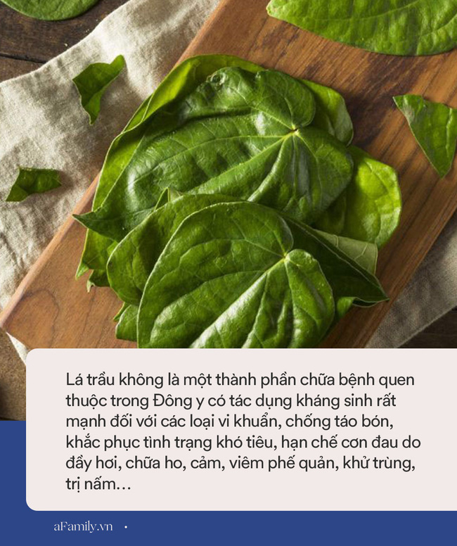 Hồ Ngọc Hà cho con đắp lá trầu không làm ai cũng tò mò, tìm hiểu thì thấy việc này đem lại nhiều lợi ích bất ngờ-3