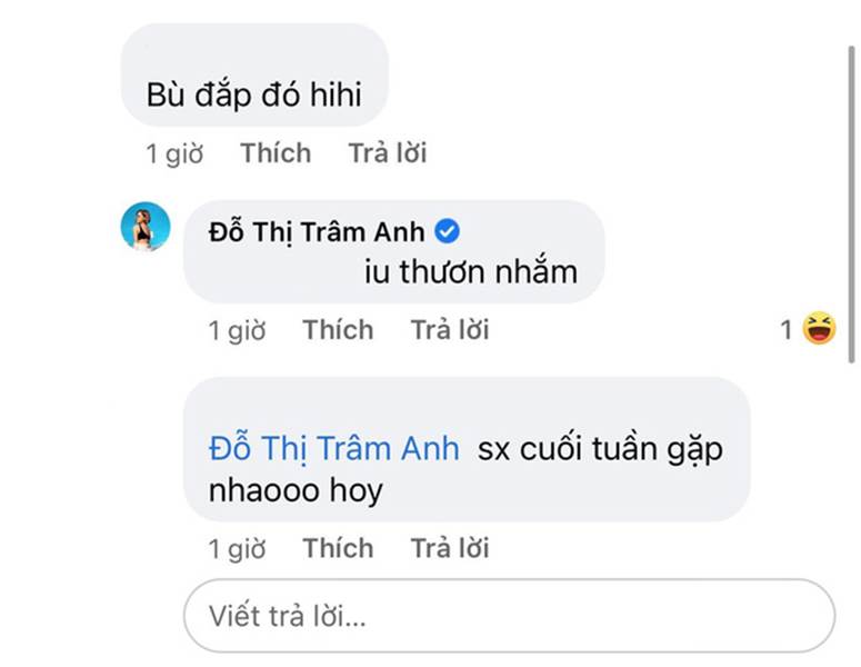 Trâm Anh thông báo đang hẹn hò rồi vội ẩn đi, dân tình đặt gạch hóng xem người ấy là ai?-4