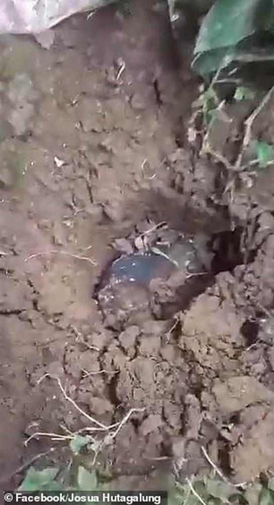 Chàng trai bị thiên thạch 43 tỷ đồng rơi thủng mái nhà, giàu sang ập tới trở tay không kịp-1