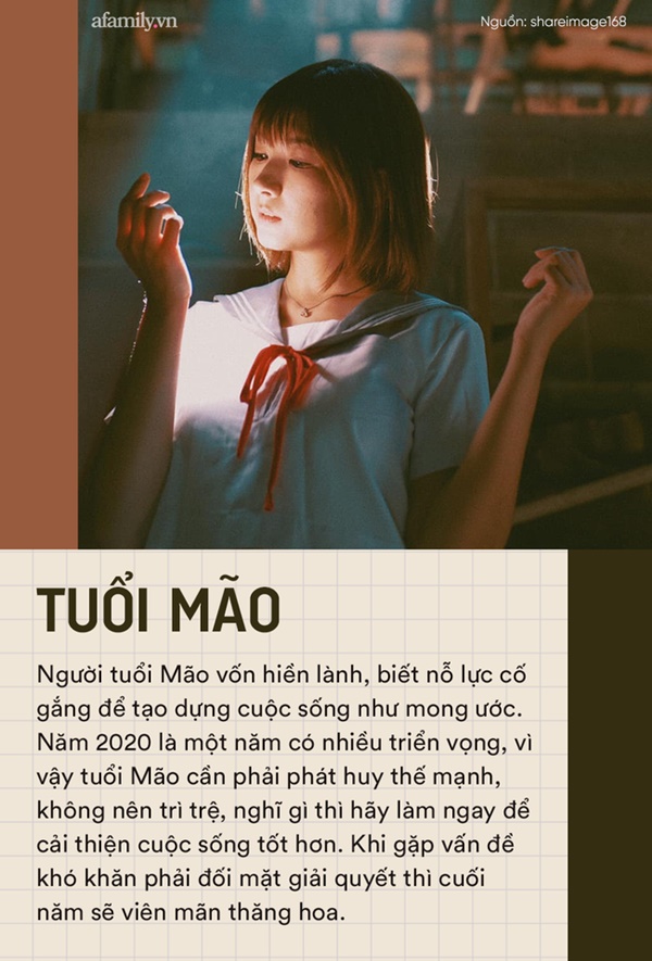 Cuộc sống 12 con giáp vào 2 tháng cuối năm 2020: Người không nên cho vay kẻo ảnh hưởng tài vận, người cần nghĩ là làm để mọi thứ mới thăng hoa-4