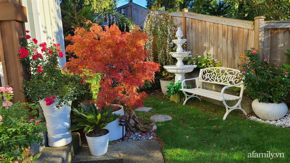Khu vườn đẹp trọn bốn mùa với từng góc nhỏ tĩnh lặng như mây của mẹ Việt lấy chồng Mỹ-6