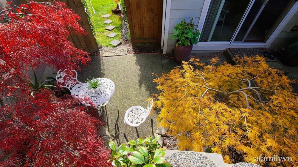 Khu vườn đẹp trọn bốn mùa với từng góc nhỏ tĩnh lặng như mây của mẹ Việt lấy chồng Mỹ-7