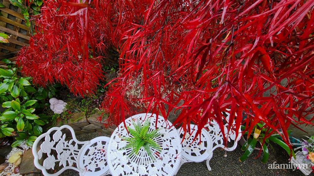 Khu vườn đẹp trọn bốn mùa với từng góc nhỏ tĩnh lặng như mây của mẹ Việt lấy chồng Mỹ-8