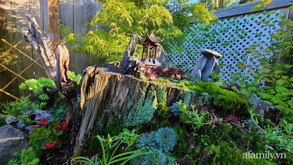 Khu vườn đẹp trọn bốn mùa với từng góc nhỏ tĩnh lặng như mây của mẹ Việt lấy chồng Mỹ-23
